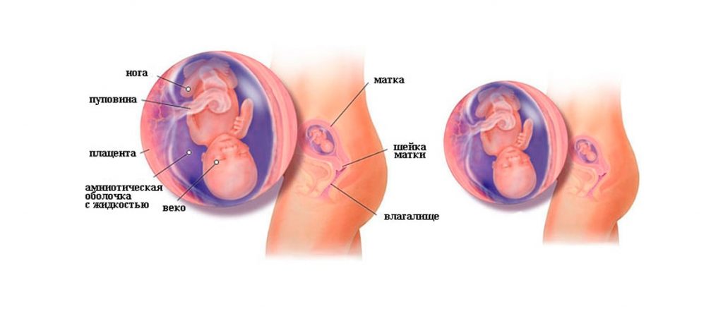 Шевеления на 18 неделе беременности